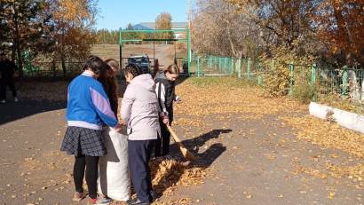 «Алтын сақа»